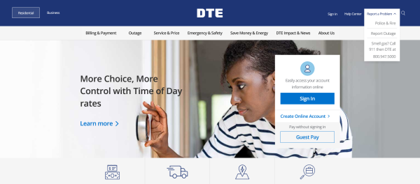 Screenshot Website DTE Energy 